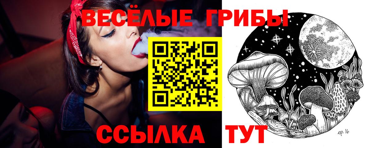 Галлюциногенные грибы ЛСД Обнинск