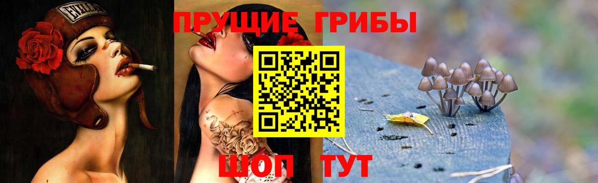 Псилоцибиновые грибы GOLDEN TEACHER  Вход с VPN  Обнинск  Галлюциногенные грибы прущие грибы 